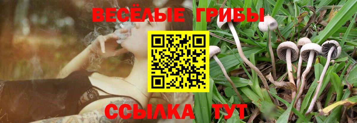Тавда  Галлюциногенные грибы Psilocybe  купить закладку  Галлюциногенные грибы Psilocybe  Вход с VPN 